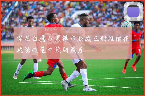保尼白鹰与黑镇市激战正酣谁能在这场较量中笑到最后