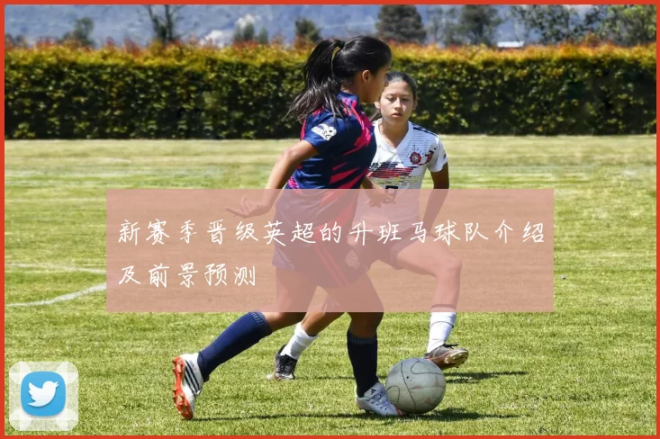新赛季晋级英超的升班马球队介绍及前景预测